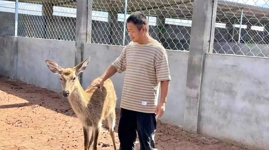 威尼斯下载安装